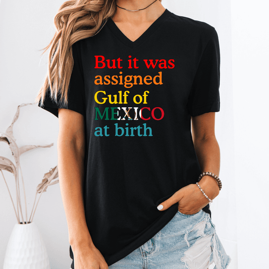 Gulf of Mexico At Birth V - Neck - Amyliz Collections