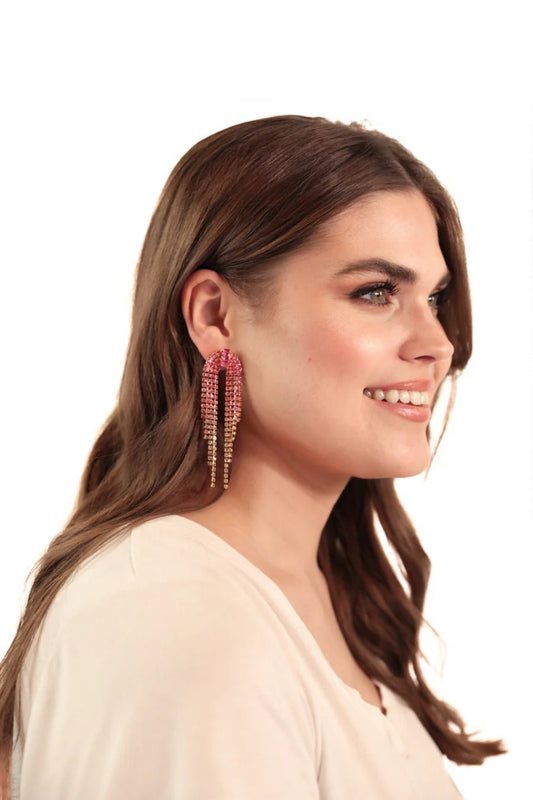 Ready to Shine Earrings - Amyliz Collections